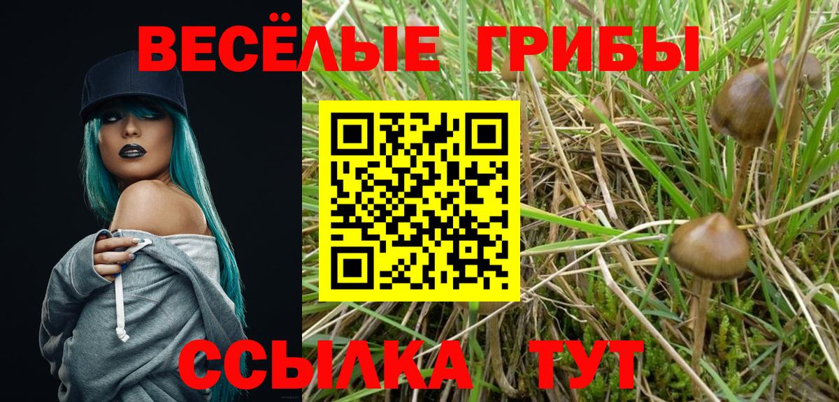НБОМе Павловский Посад