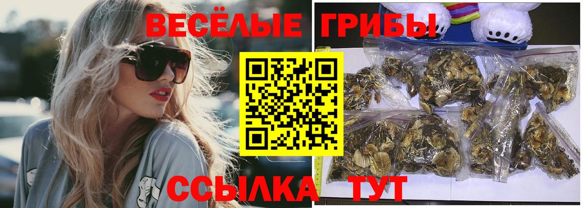 Псилоцибиновые грибы Magic Shrooms Павловский Посад